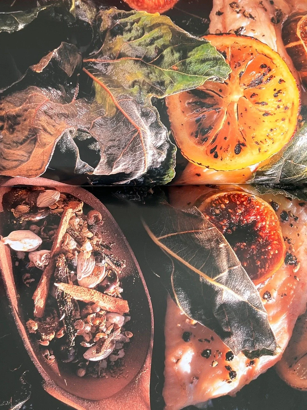 Ducasse Flavors of France Cookbook